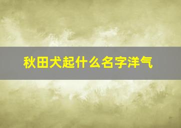 秋田犬起什么名字洋气