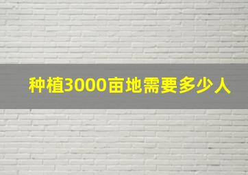 种植3000亩地需要多少人