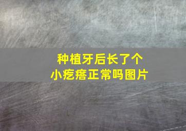 种植牙后长了个小疙瘩正常吗图片