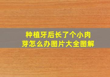 种植牙后长了个小肉芽怎么办图片大全图解