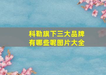 科勒旗下三大品牌有哪些呢图片大全