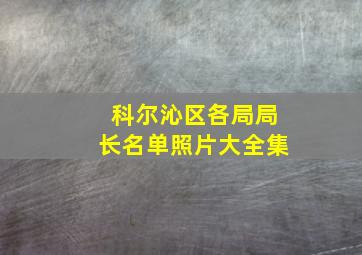 科尔沁区各局局长名单照片大全集