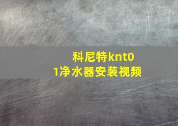 科尼特knt01净水器安装视频