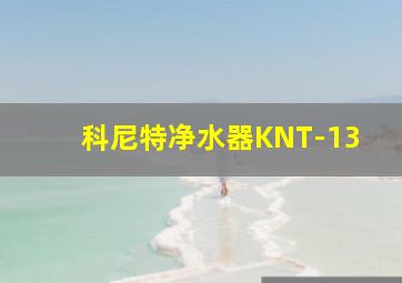 科尼特净水器KNT-13