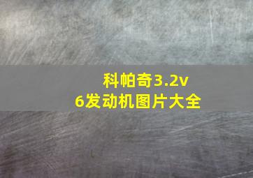 科帕奇3.2v6发动机图片大全