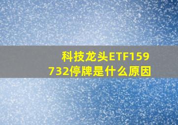 科技龙头ETF159732停牌是什么原因