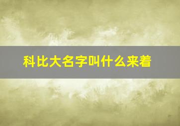 科比大名字叫什么来着