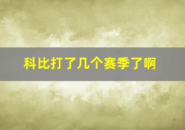 科比打了几个赛季了啊