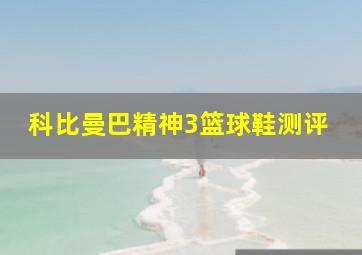 科比曼巴精神3篮球鞋测评