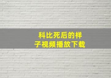 科比死后的样子视频播放下载