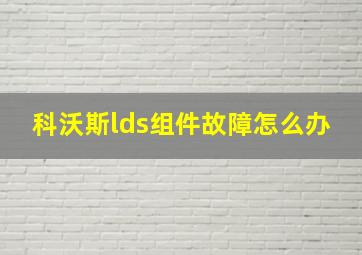 科沃斯lds组件故障怎么办