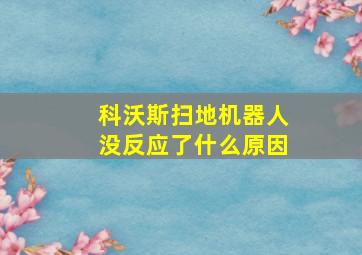 科沃斯扫地机器人没反应了什么原因