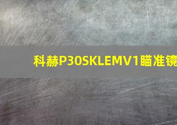 科赫P30SKLEMV1瞄准镜