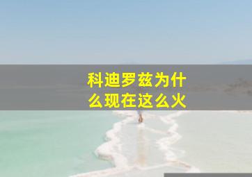 科迪罗兹为什么现在这么火