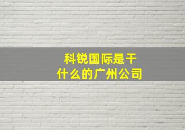 科锐国际是干什么的广州公司