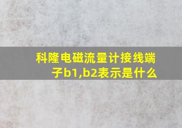 科隆电磁流量计接线端子b1,b2表示是什么