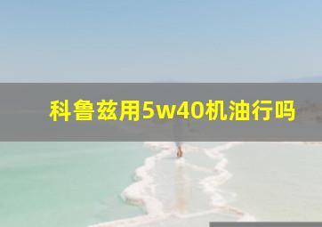 科鲁兹用5w40机油行吗