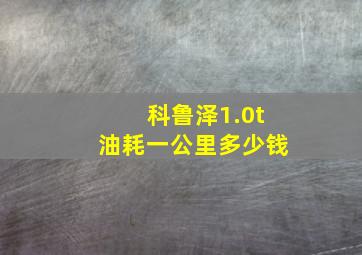 科鲁泽1.0t油耗一公里多少钱