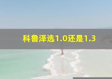 科鲁泽选1.0还是1.3