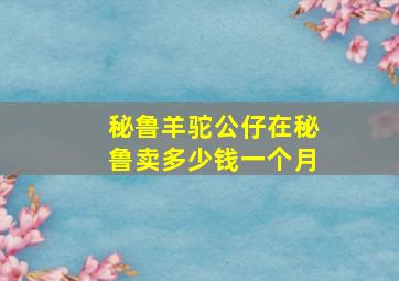 秘鲁羊驼公仔在秘鲁卖多少钱一个月