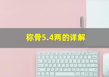 称骨5.4两的详解