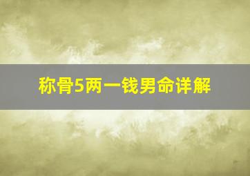 称骨5两一钱男命详解