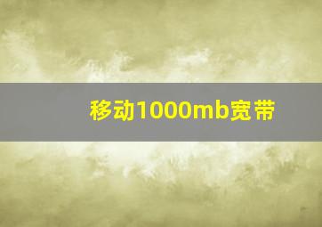 移动1000mb宽带