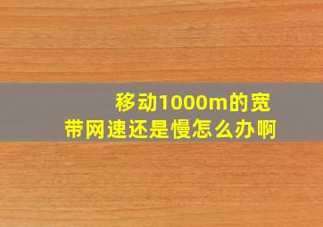 移动1000m的宽带网速还是慢怎么办啊