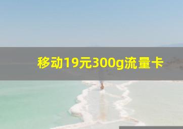 移动19元300g流量卡