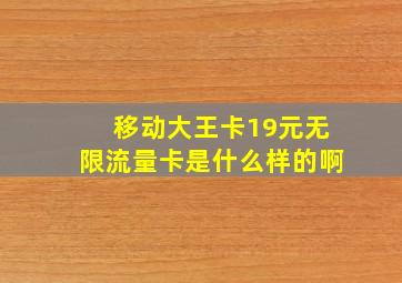 移动大王卡19元无限流量卡是什么样的啊