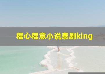 程心程意小说泰剧king