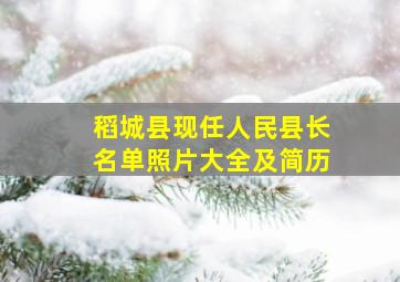 稻城县现任人民县长名单照片大全及简历