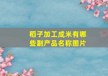 稻子加工成米有哪些副产品名称图片