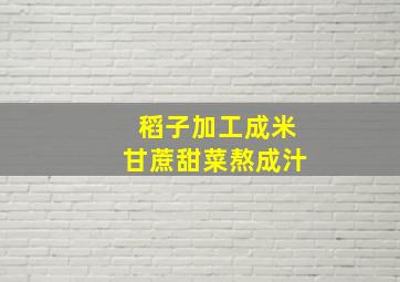 稻子加工成米甘蔗甜菜熬成汁