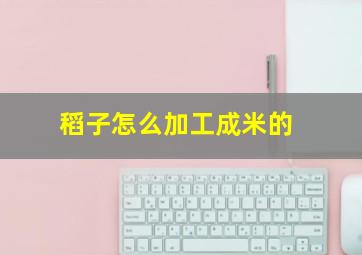 稻子怎么加工成米的