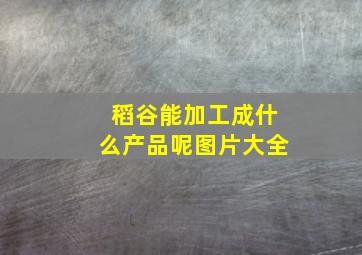 稻谷能加工成什么产品呢图片大全