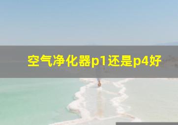 空气净化器p1还是p4好