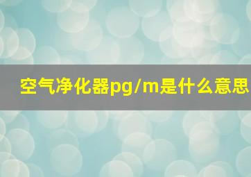 空气净化器pg/m是什么意思