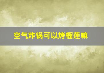 空气炸锅可以烤榴莲嘛