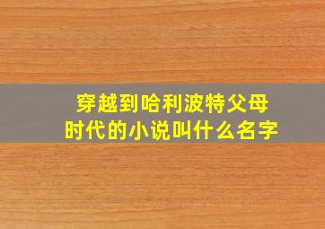 穿越到哈利波特父母时代的小说叫什么名字