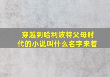 穿越到哈利波特父母时代的小说叫什么名字来着