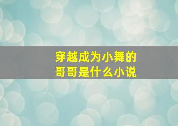 穿越成为小舞的哥哥是什么小说