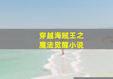 穿越海贼王之魔法觉醒小说