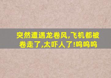 突然遭遇龙卷风,飞机都被卷走了,太吓人了!呜呜呜