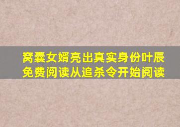 窝囊女婿亮出真实身份叶辰免费阅读从追杀令开始阅读