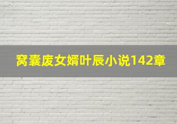 窝囊废女婿叶辰小说142章