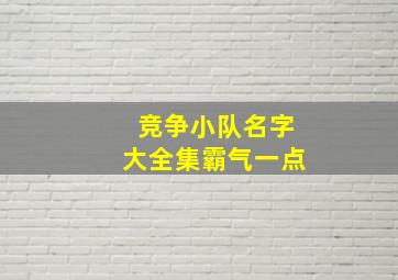 竞争小队名字大全集霸气一点