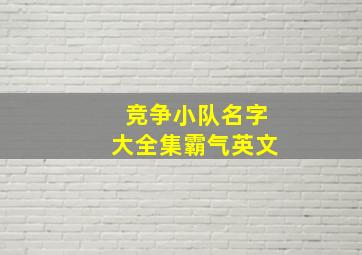 竞争小队名字大全集霸气英文