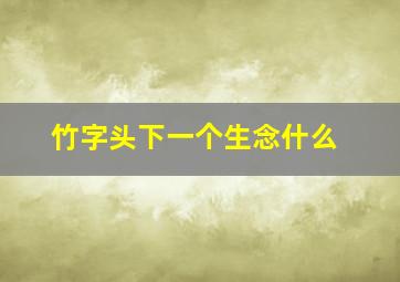 竹字头下一个生念什么