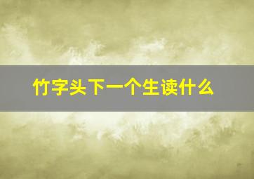 竹字头下一个生读什么